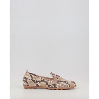 Hispanitas  BOMBAY HV254027  ruznobarevne