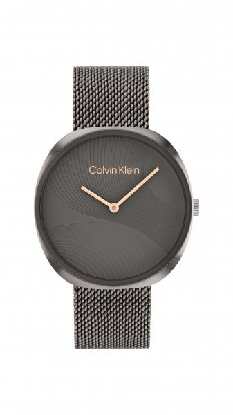 Hodinky CALVIN KLEIN 25200248