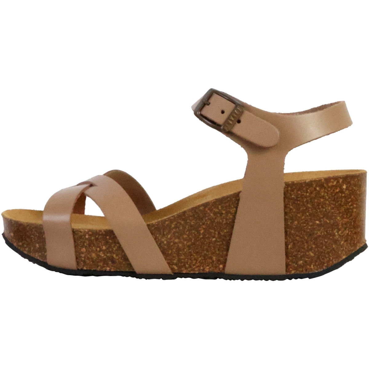 Plakton  250448  Zelená