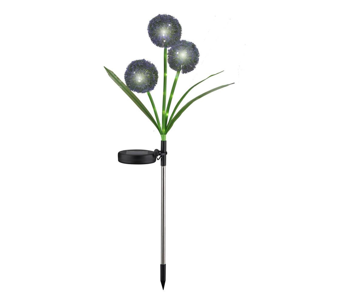 LED Solární svítidlo ALLIUM LED/1,2V 6500K 600 mAh IP44 černá