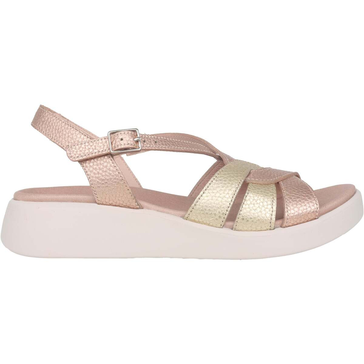 Wonders  Paterna  Růžová