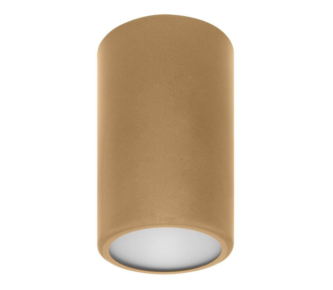 Bodové svítidlo CLEO 1xE27/24W/230V zlatá