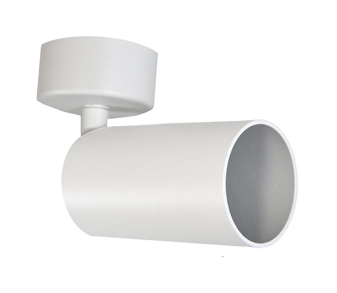 Bodové svítidlo FARGO 1xGU10/30W/230V bílá