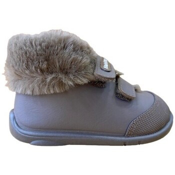 Titanitos  B 500 PINI Marrón  Hnědá