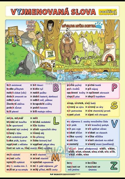 Vyjmenovaná slova - rozlišuj A4 (30x21 cm)