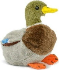 Kačer kachny divoké plyš 18cm plněná kuličkami 0m+