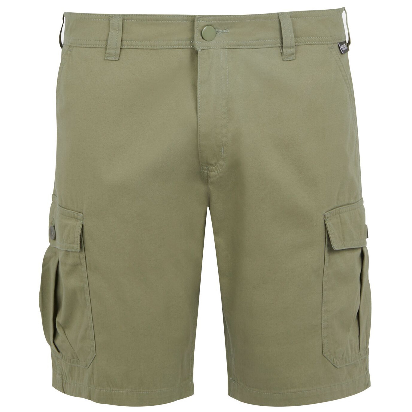 Pánské kraťasy Regatta Ruwan Shorts Velikost: L / Barva: zelená