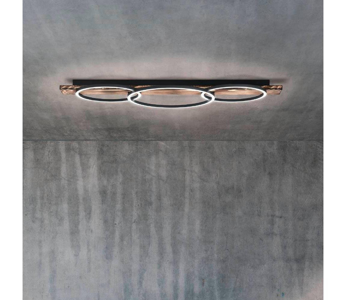 Eglo Eglo 99413 - LED Stropní svítidlo BOYAL 2xLED/12W/230V + LED/12W