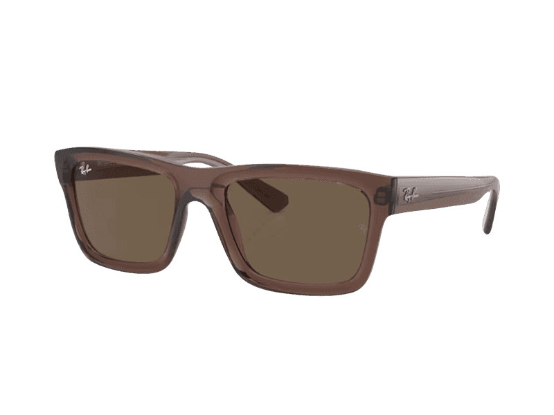 Ray-Ban Warren RB4396 667873
