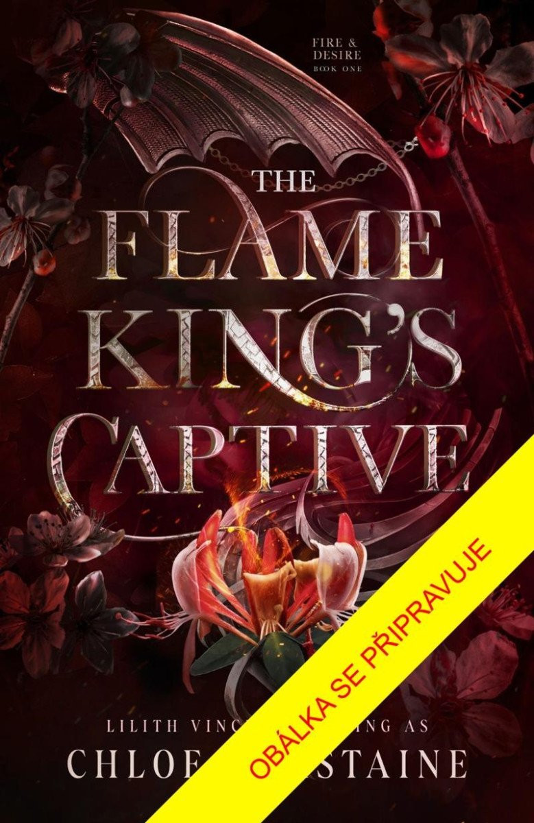 V zajetí krále plamenů - Chloe Chastaine