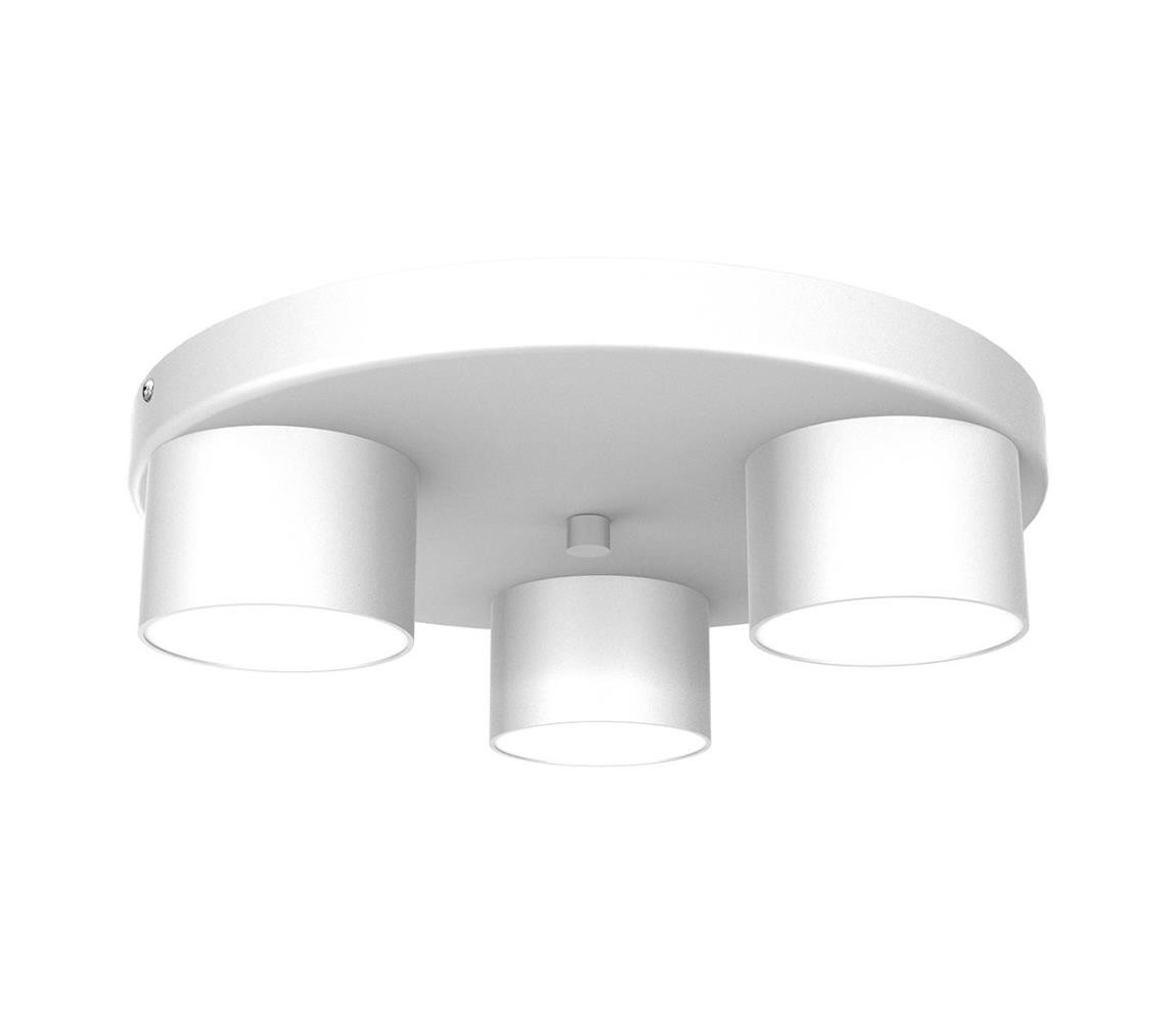 Stropní svítidlo DIXIE 3xGX53/11W/230V bílá