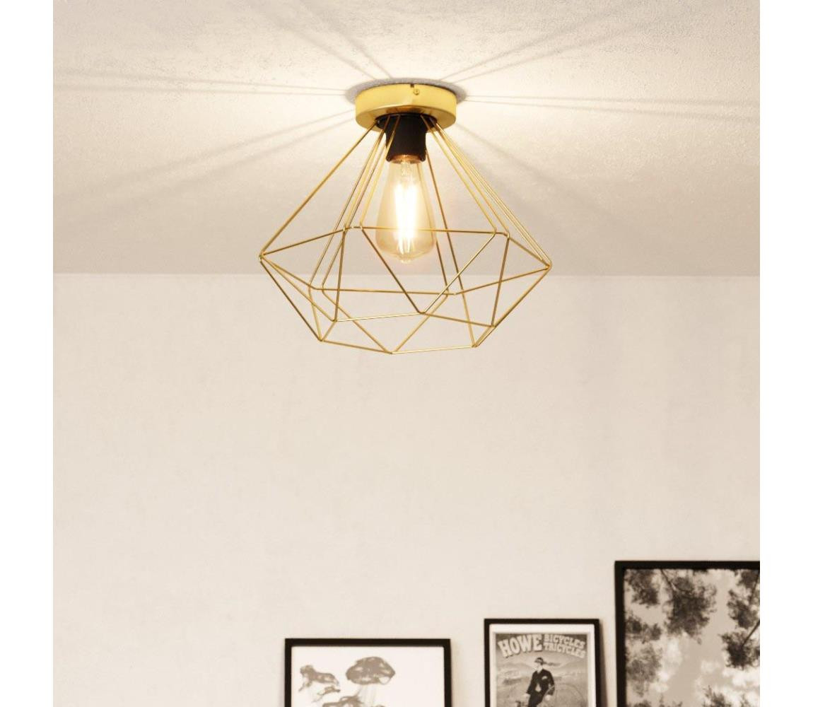 Eglo Eglo 43678 - Stropní svítidlo TARBES 1xE27/60W/230V