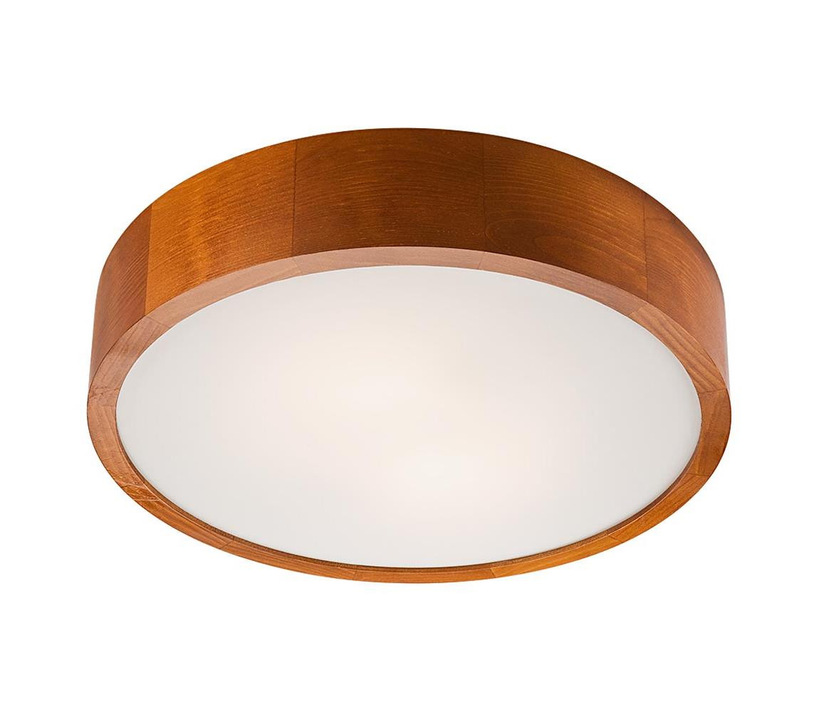 LED Stropní svítidlo 1xLED/24W/230V - FSC certifikováno