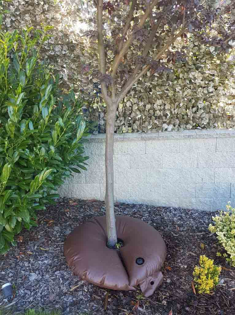 Zavlažovací vak TREE BAG 