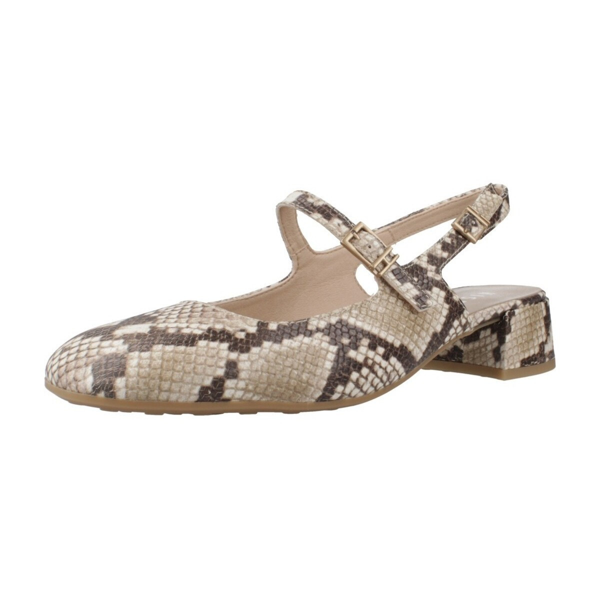 Hispanitas  HV253818  ruznobarevne