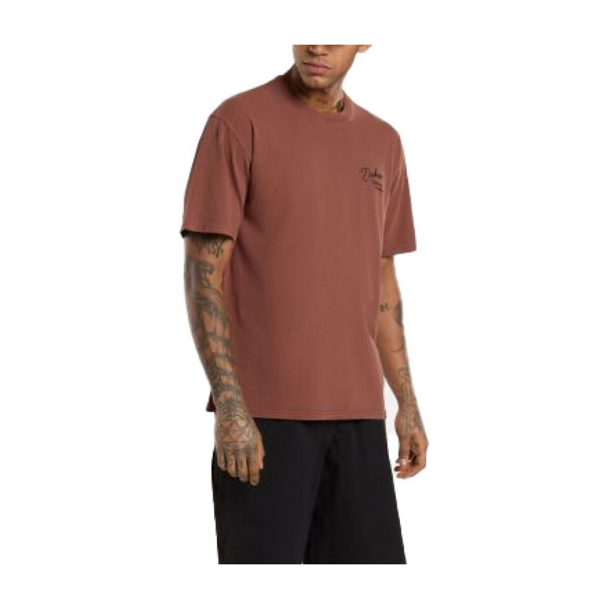 Dickies  DK0A4Z8WK471 ROPE CHEST LOGO SS TEE  Hnědá