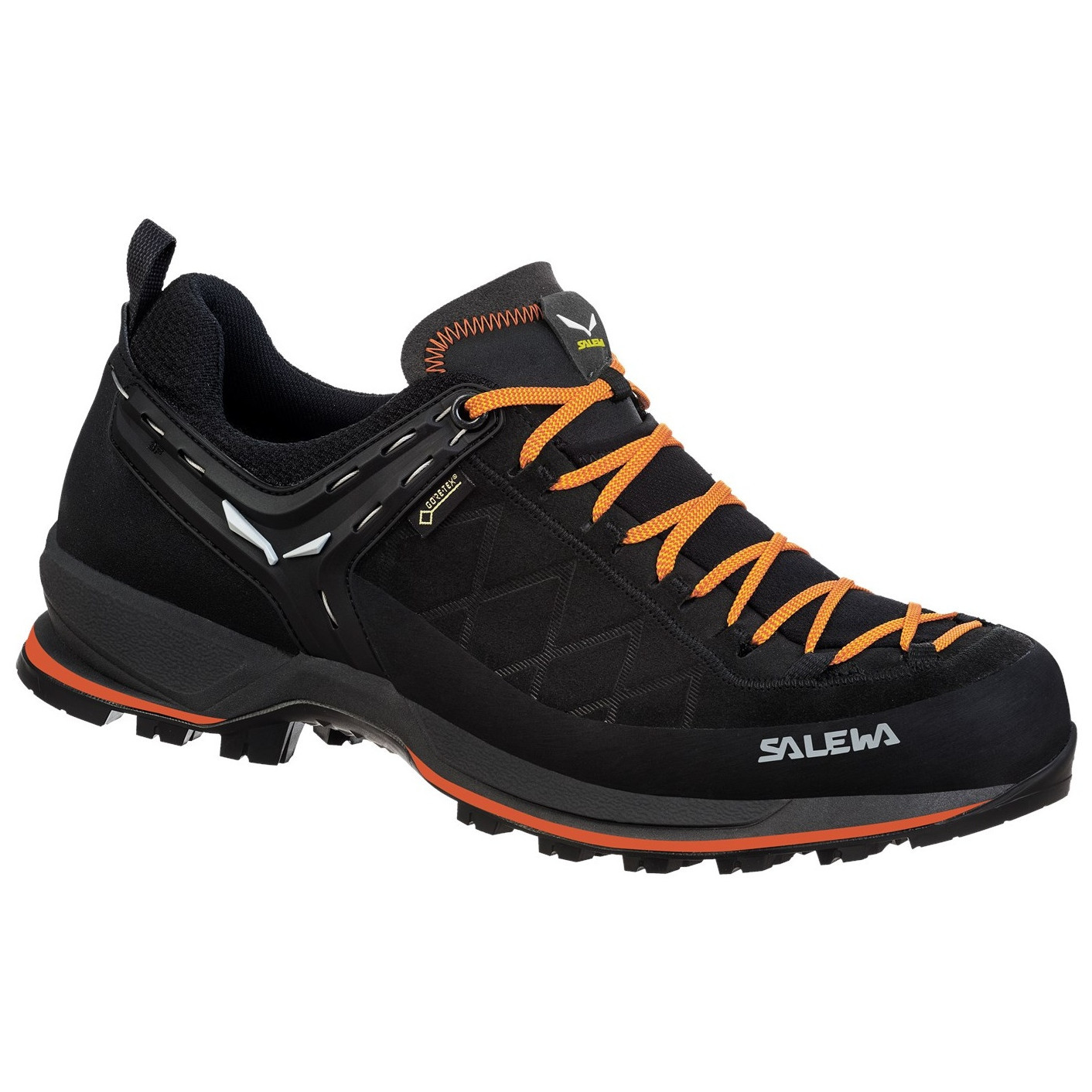 Pánské boty Salewa Ms Mtn Trainer 2 Gtx Velikost bot (EU): 43 / Barva: černá