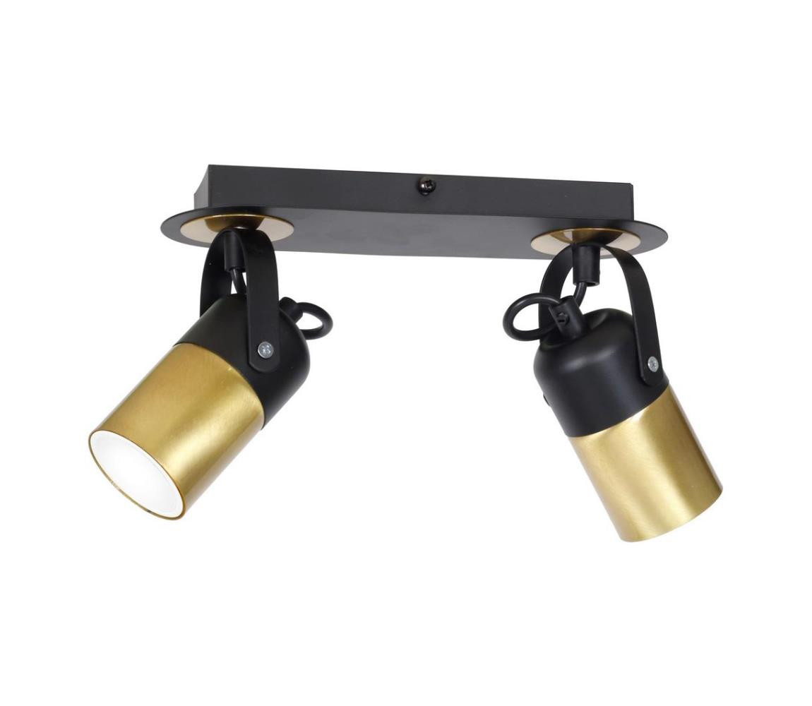 Bodové svítidlo WILSON 2xGU10/25W/230V