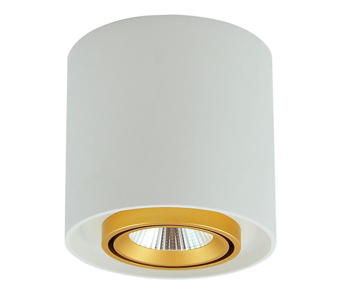 LED Bodové svítidlo XENO LED/15W/230V bílá 1200lm