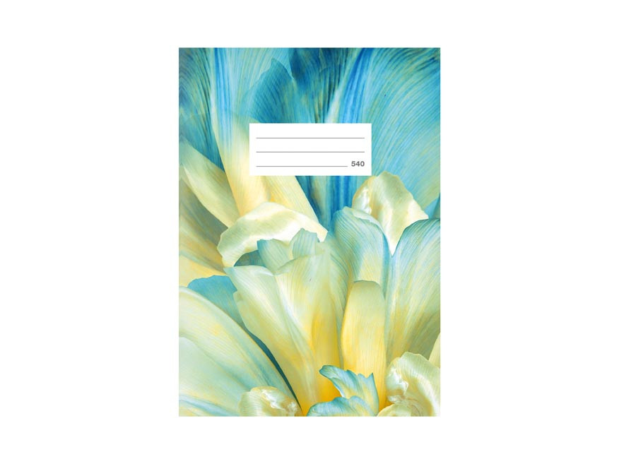 MFP 7520383 Školní sešit LUX A5 540