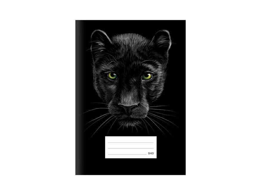 MFP 7520382 Školní sešit LUX A5 540