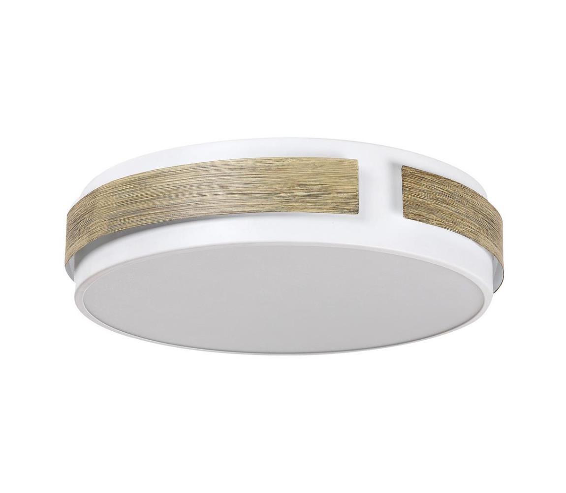 Rabalux Rabalux 5646 - LED Stmívatelné stropní svítidlo SALMA LED/24W/230V