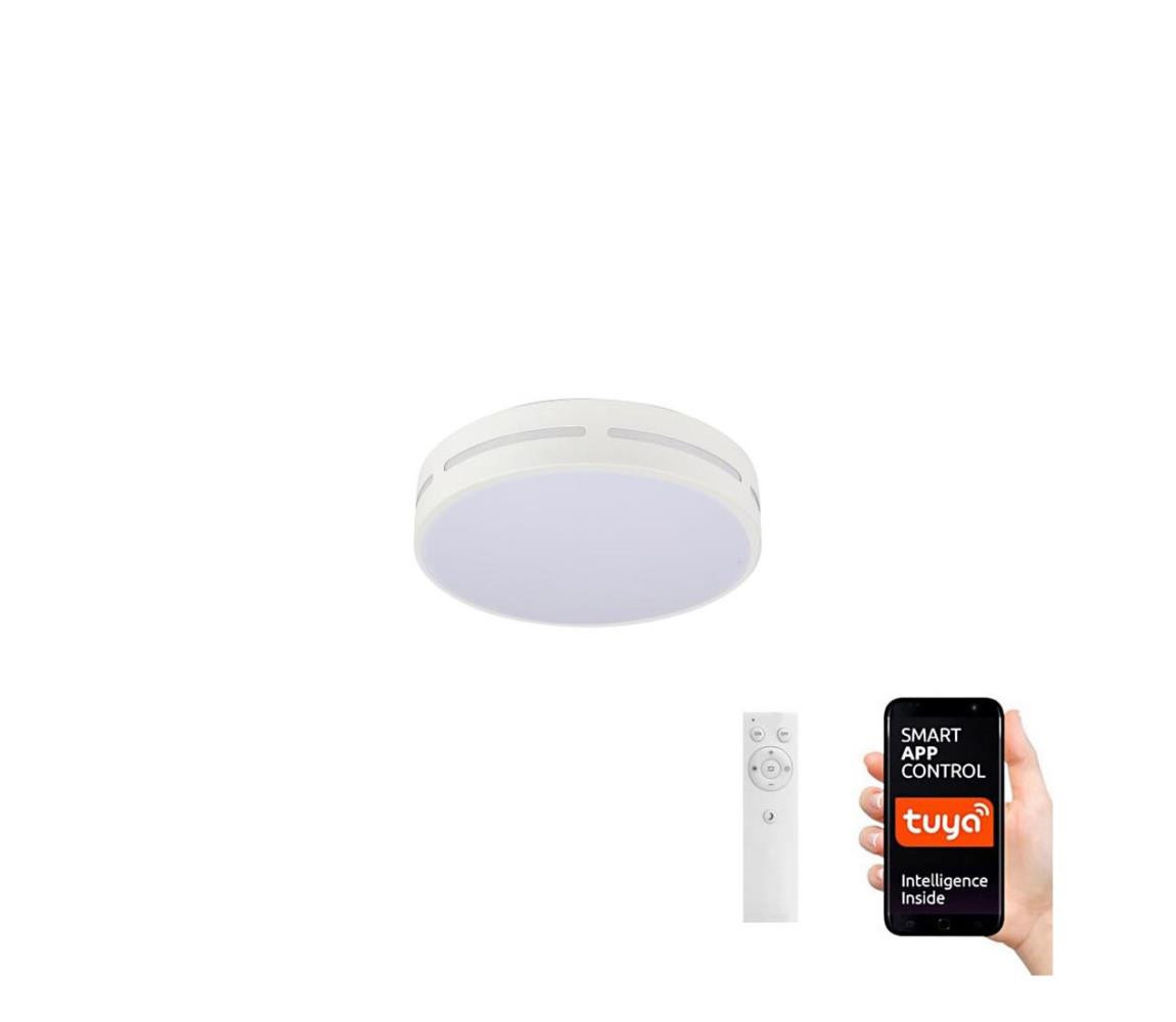 Neo  NEO 07153-W30 - LED Stmívatelné svítidlo PERFECTO 24W/230V Wi-Fi Tuya + DO