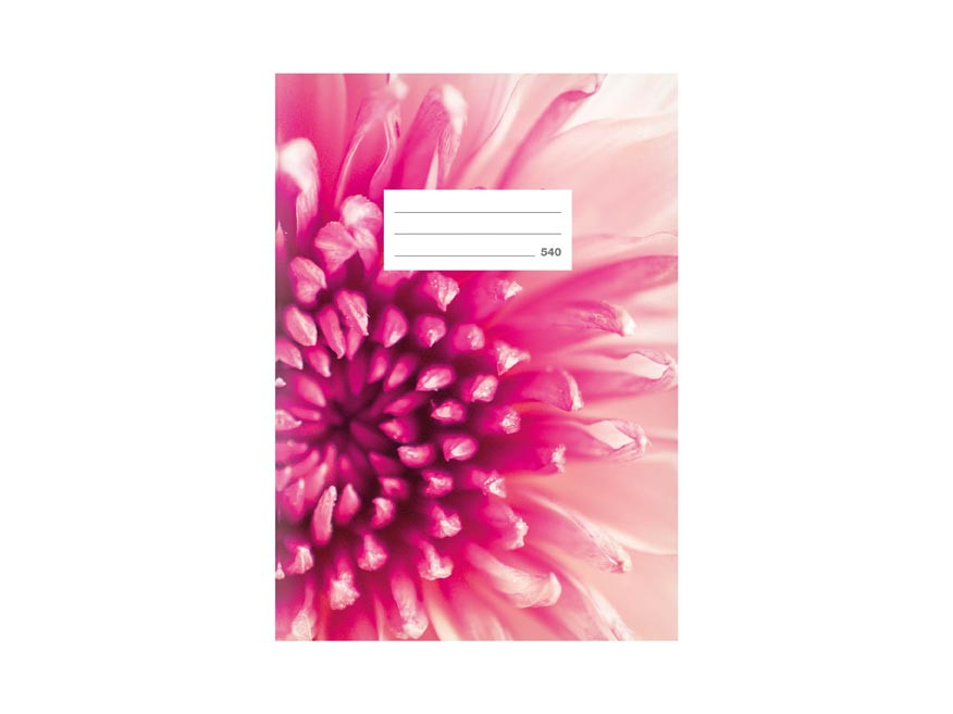 MFP 7520384 Školní sešit LUX A5 540