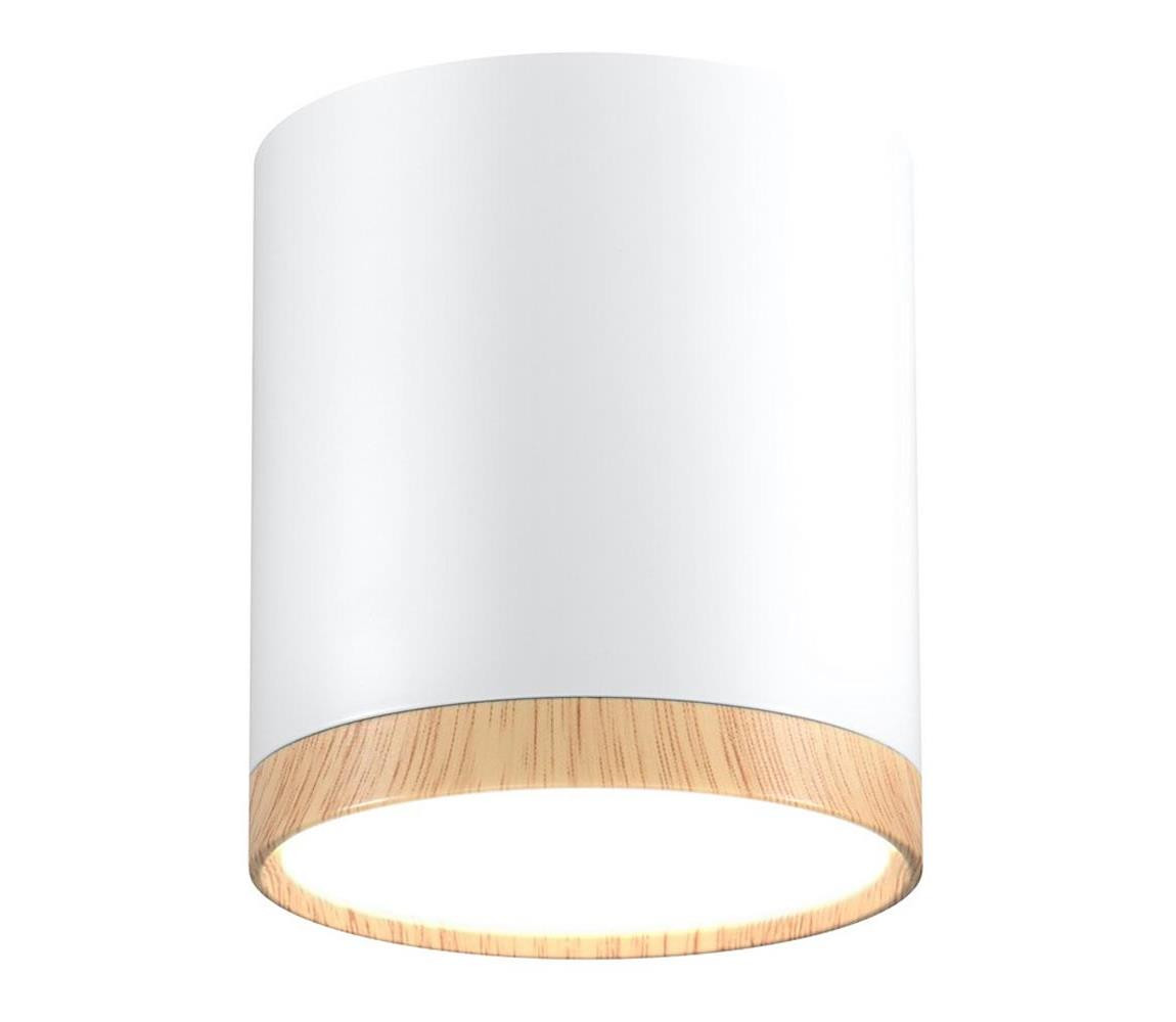 LED Stropní svítidlo TUBA LED/5W/230V bílá/béžová