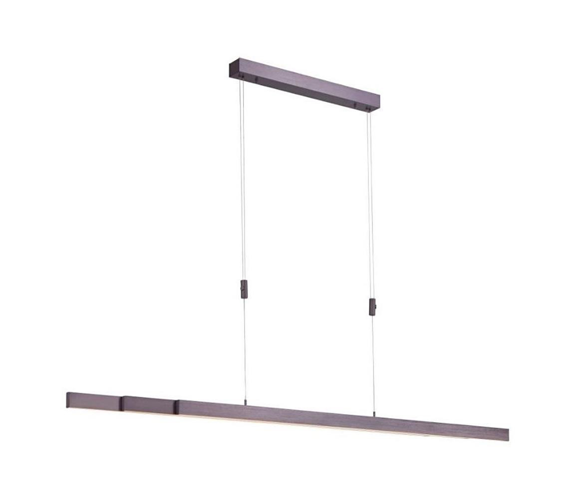 Paul Neuhaus Paul Neuhaus 2568-24 - LED Stmívatelný lustr na lanku ADRIANA LED/14W/230V