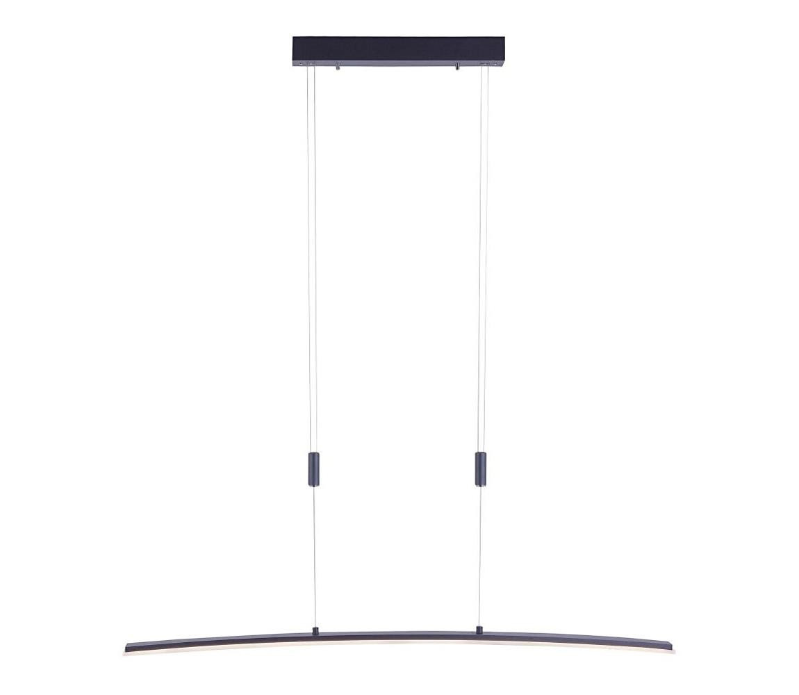 Paul Neuhaus Paul Neuhaus 2530-13 - LED Stmívatelný lustr na lanku JANINA LED/27W/230V