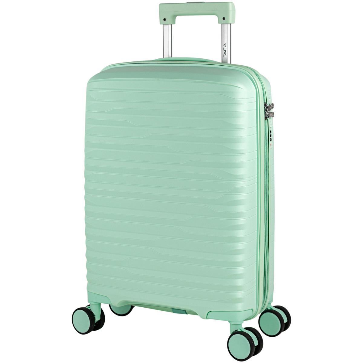 Itaca  Loira  Zelená