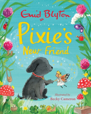 Pixie's New Friend - Enid Blyton