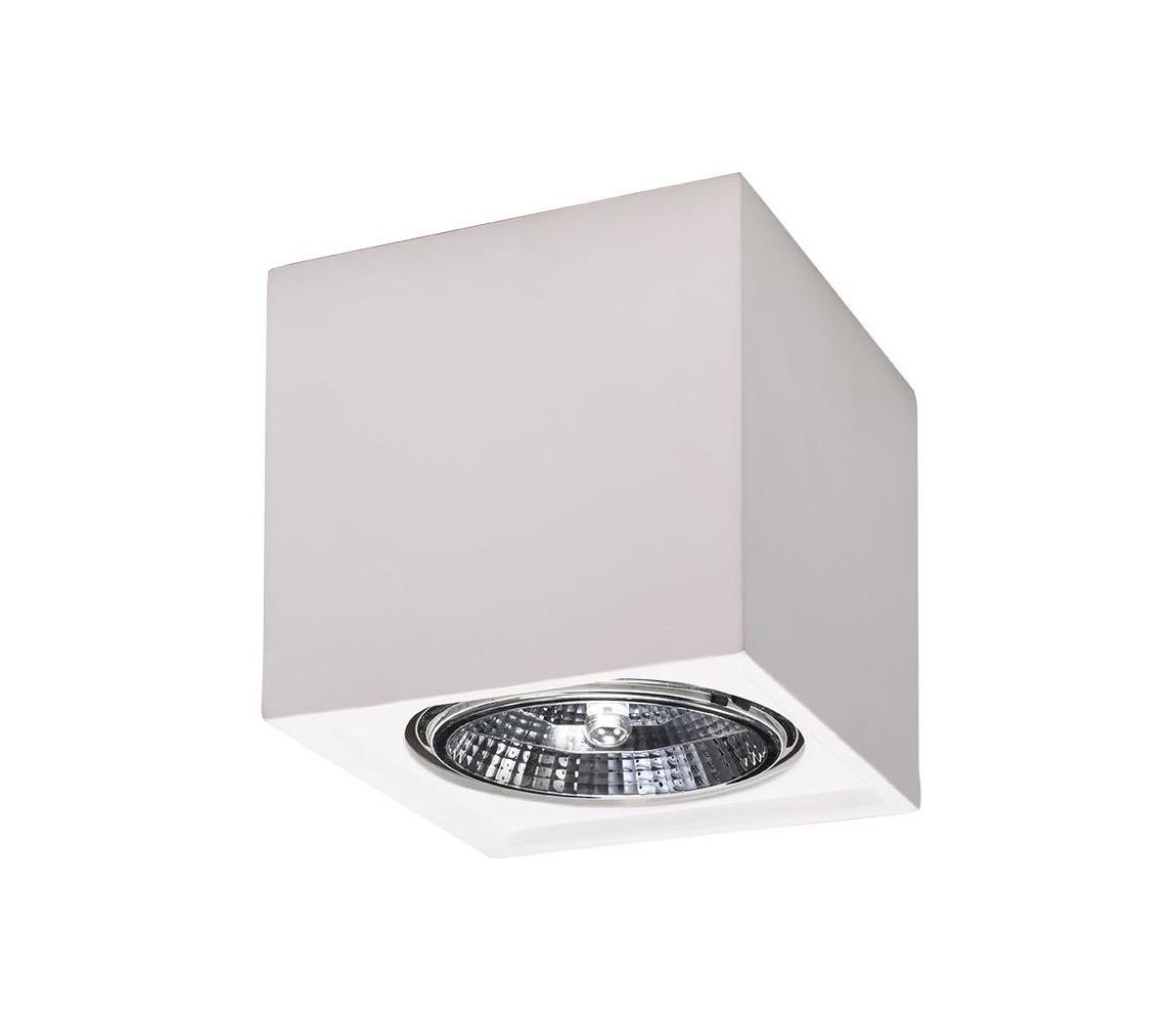 SL.0850 - Stropní svítidlo SEIDA 1xGU10/40W/230V