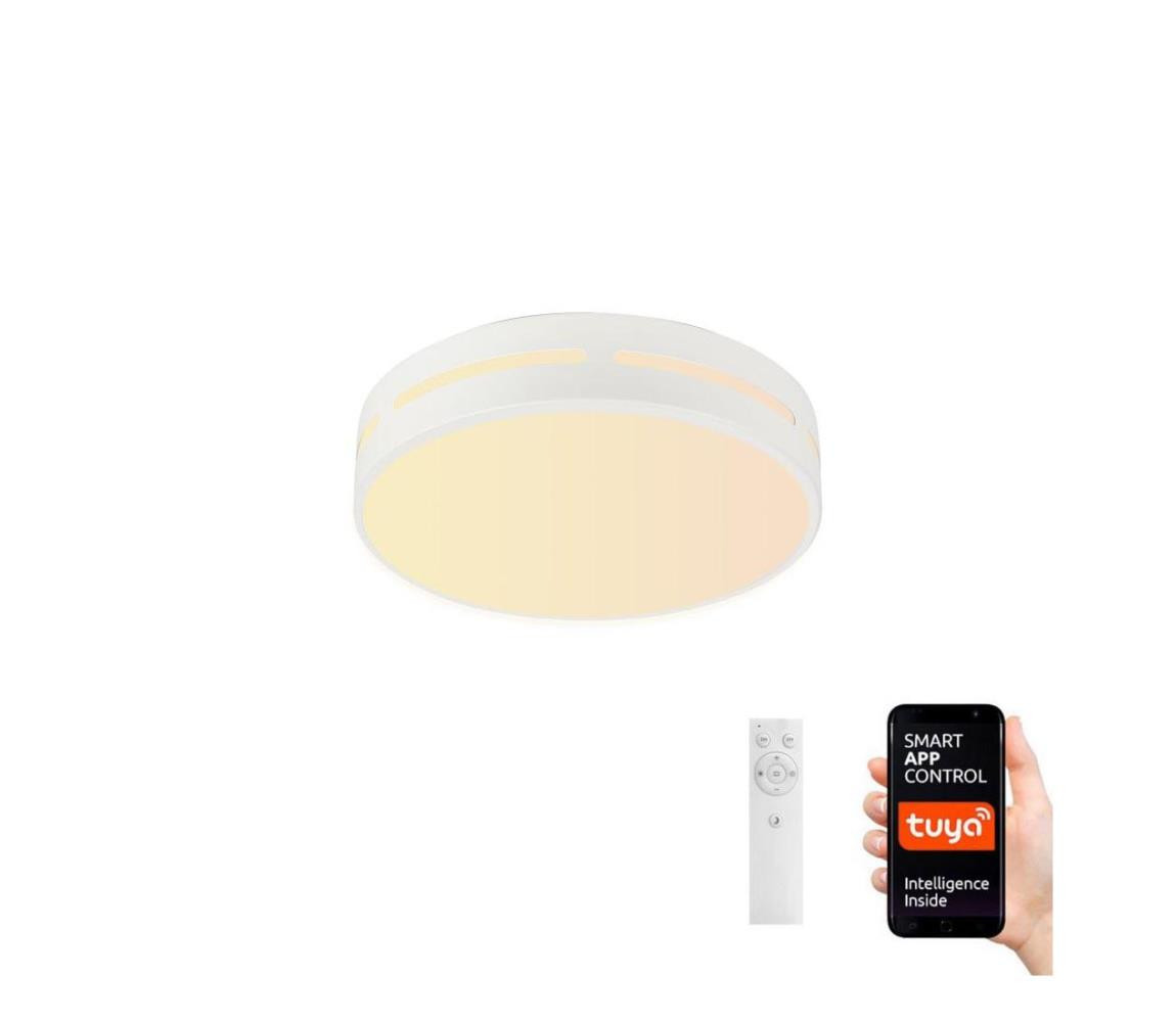 Neo  NEO 07153-W40 - LED Stmívatelné svítidlo PERFECTO 24W/230V Wi-Fi Tuya + DO