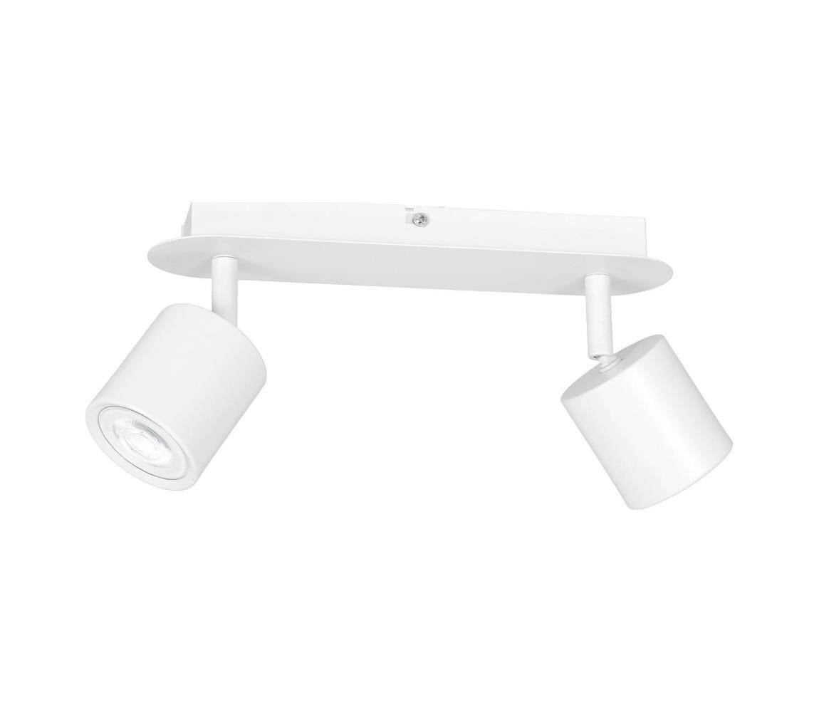 Bodové svítidlo DEMIA 2xGU10/8W/230V bílá