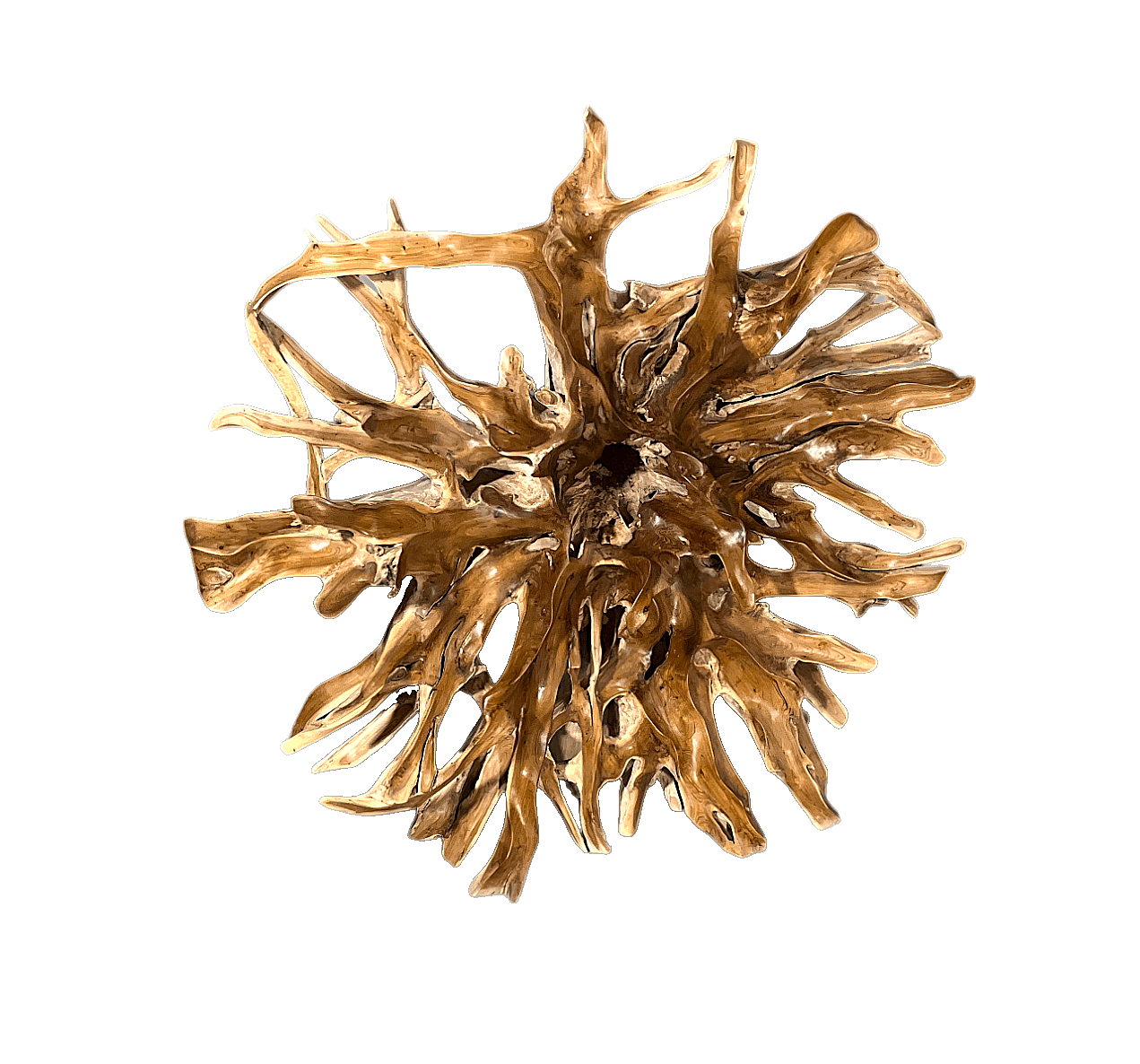 DEOKORK Teaková plastika z kořene SLUNCE VII