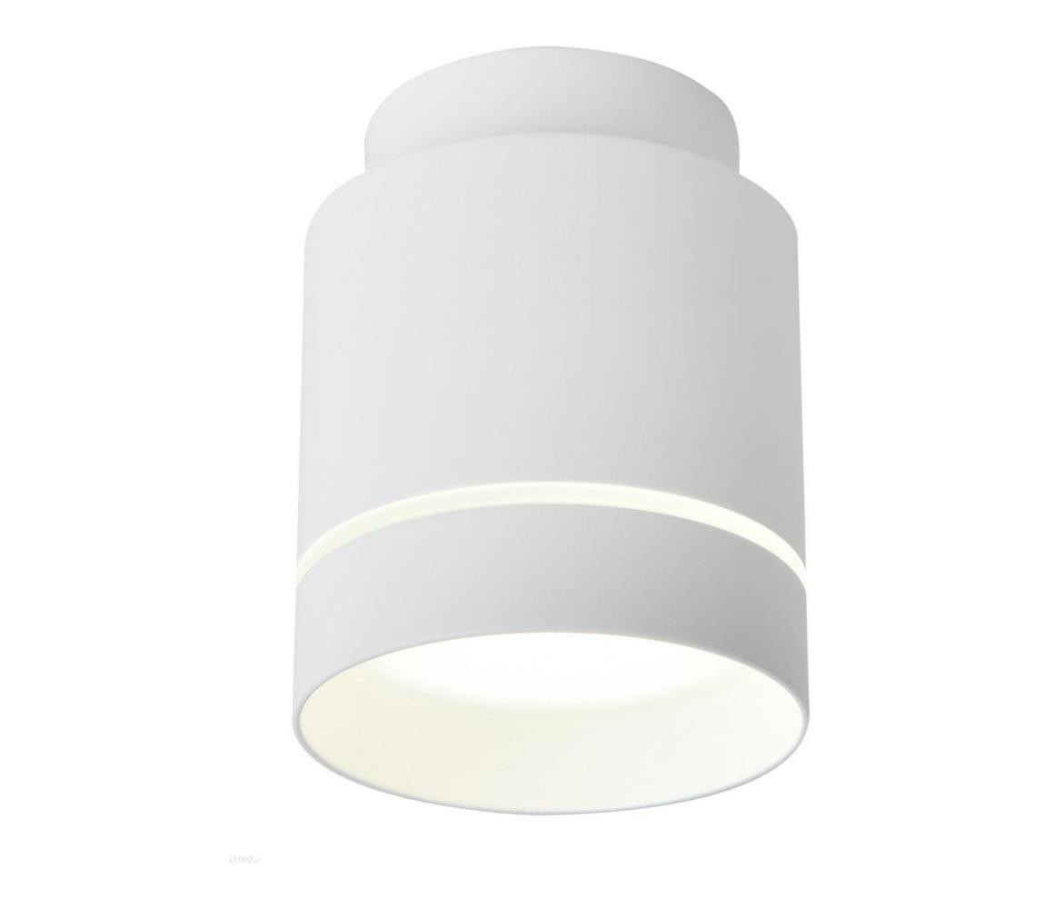 LED Stropní svítidlo TUBA LED/12W/230V