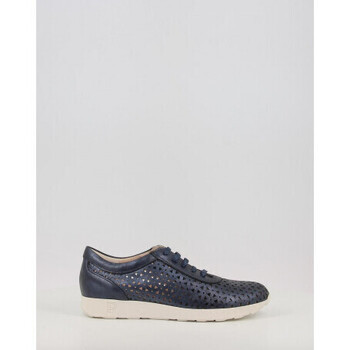 Pitillos  10422  Modrá