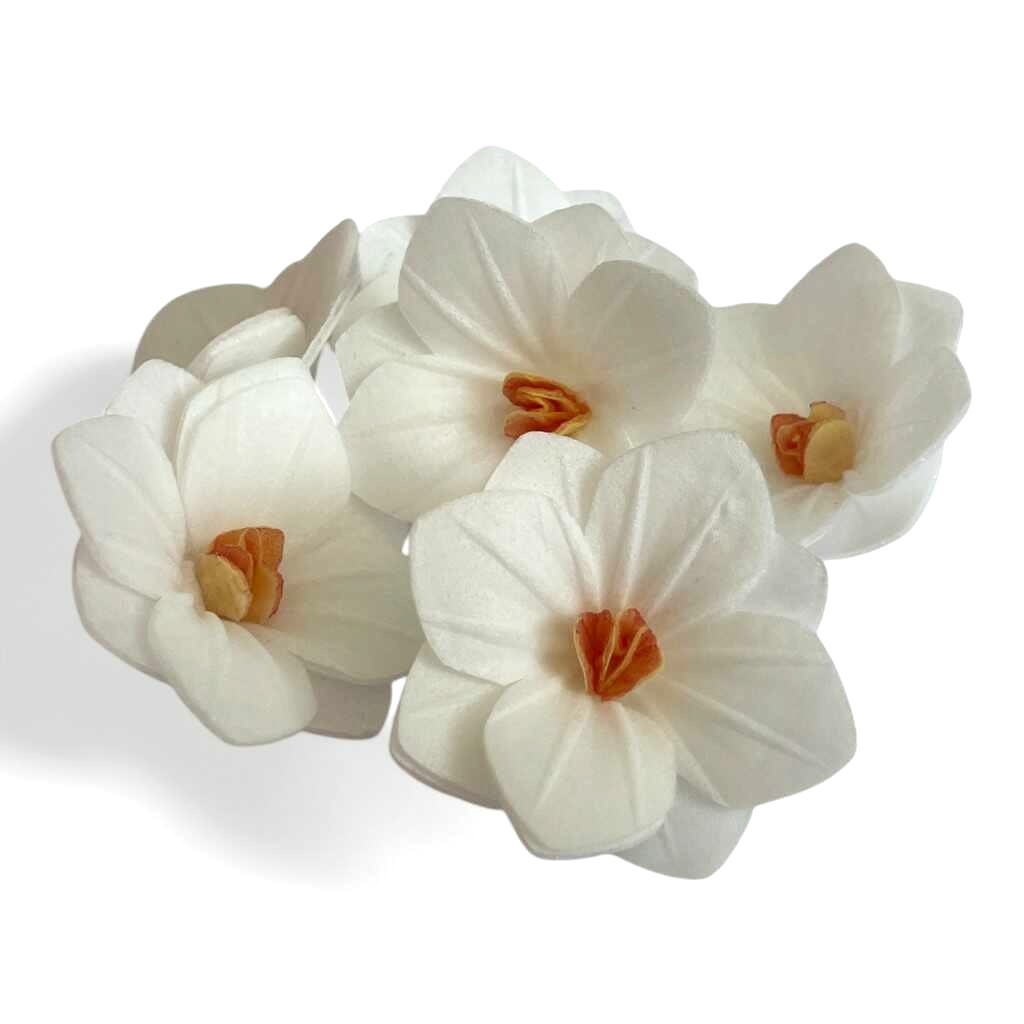 Jedlý papír 3D hortenzie bílá 6ks