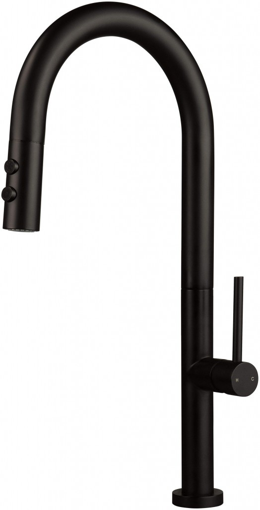 DEANTE Olfato nero Kuchyňská baterie, s vytahovací hubicí 2 typy proudu BQO_N72M