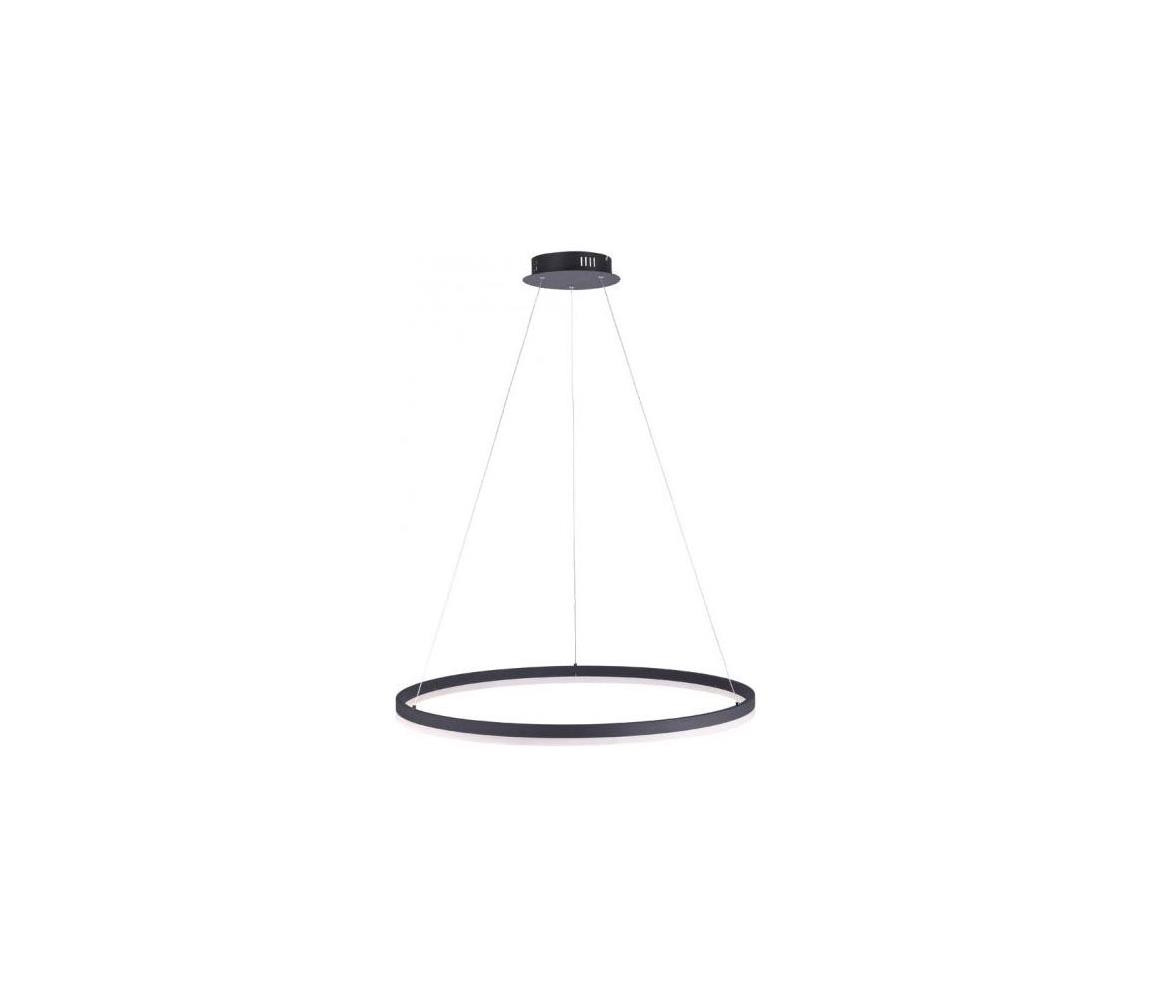 Paul Neuhaus Paul Neuhaus 2383-13 - LED Stmívatelný lustr na lanku TITUS LED/50W/230V