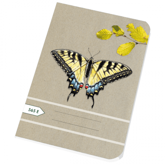 Papírny Brno Školní sešit 565e - A5, čtverečkovaný, 60 listů R BP