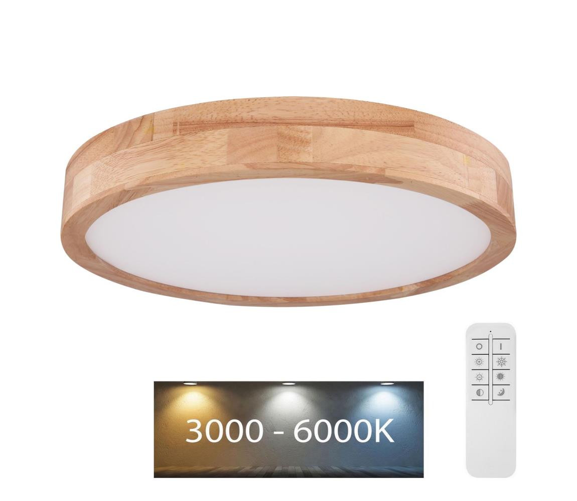 Globo Globo 41745-24 - LED Stmívatelné stropní svítidlo RAINER LED/24W/230V + DO