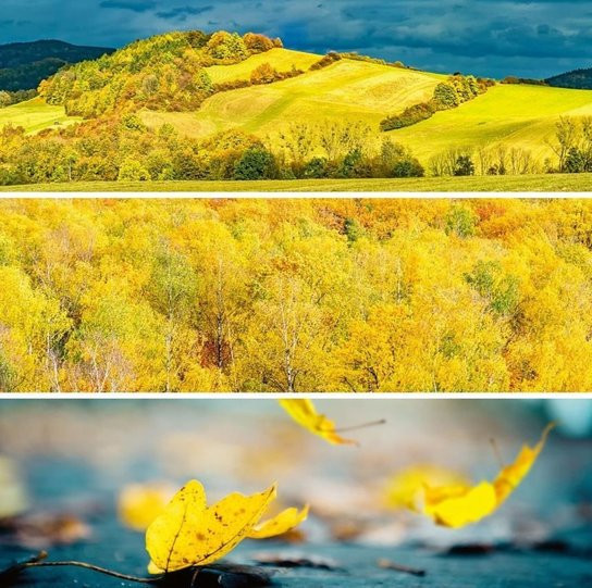 Poznámkový kalendář Paleta 2026 - nástěnný kalendář