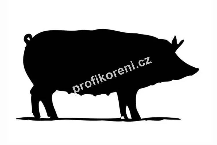 PROFIKORENI - Vepřová střeva zasolená kalibr 34/36 EU svazek 91,4 m