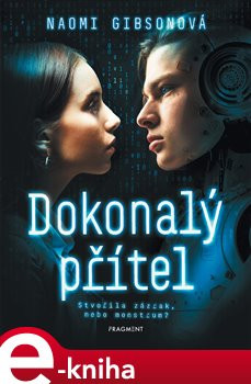 Dokonalý přítel - Naomi Gibsonová