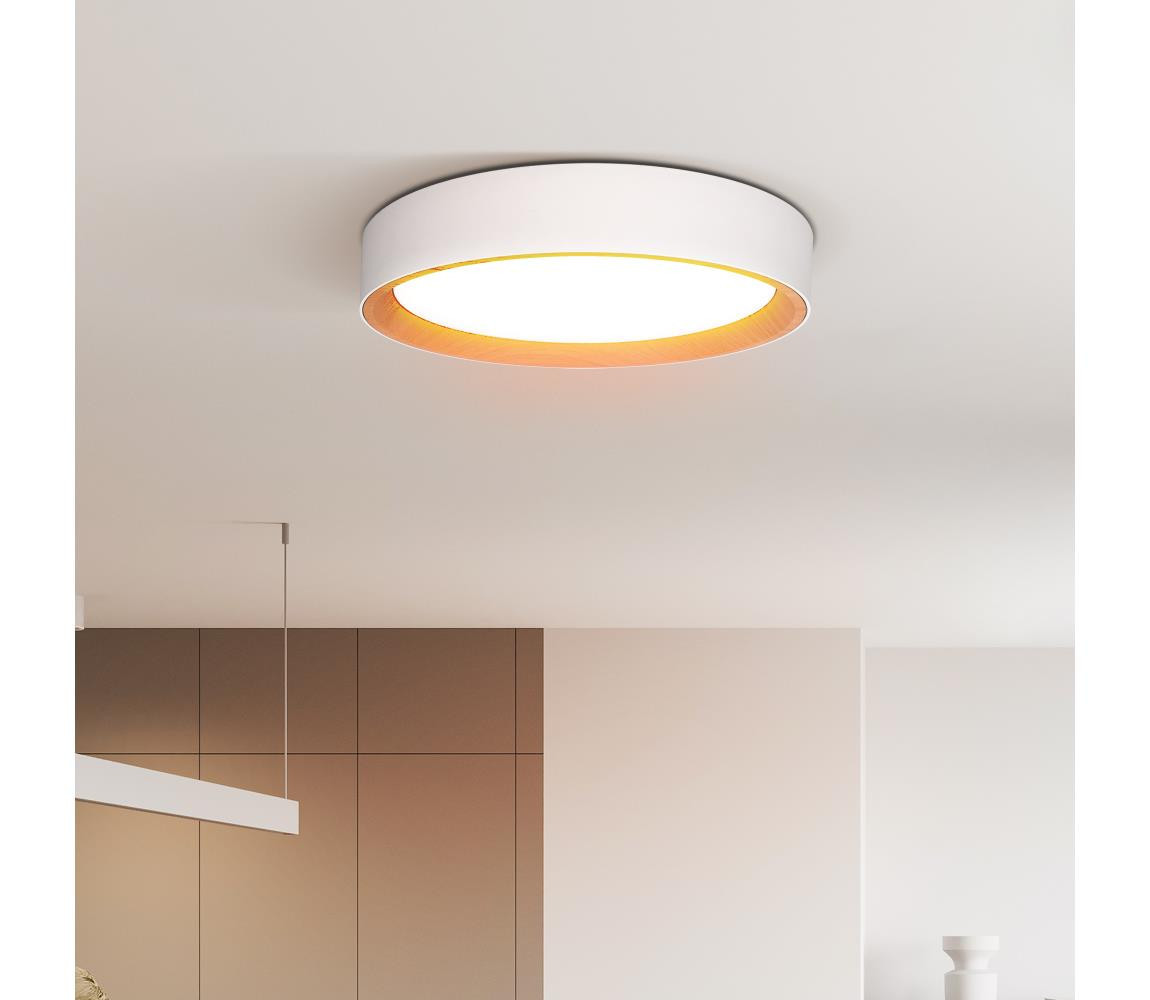 WO8017 - LED Stm. strop. svítidlo LARIOS LED/48W/230V+DO pr.39 cm bílá