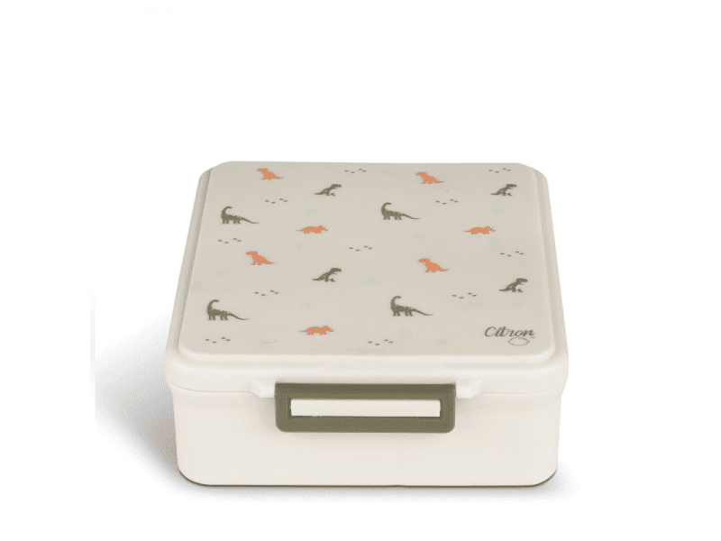 Citron Velký obědový box s nádobou na teplé pokrmy, DINO