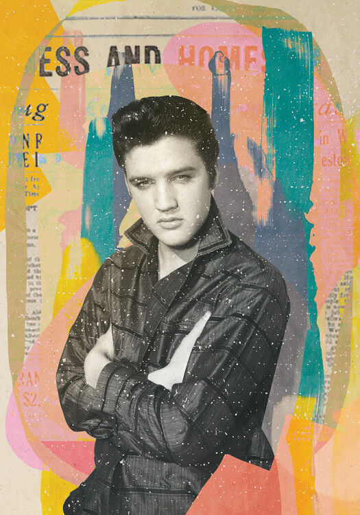 Aylin Demir Ilustrace King in the House, Aylin Demir, 26.7 × 40 cm